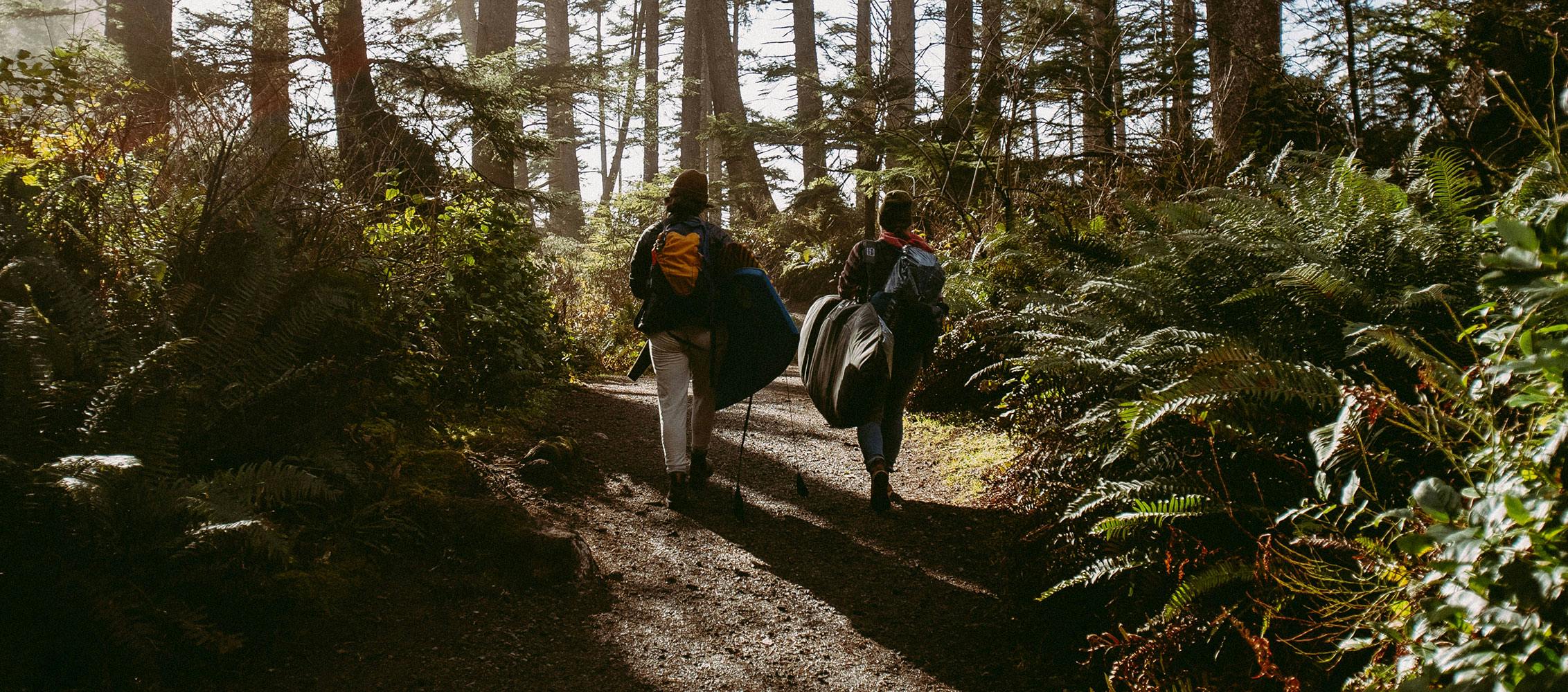 Two hikers in a forest